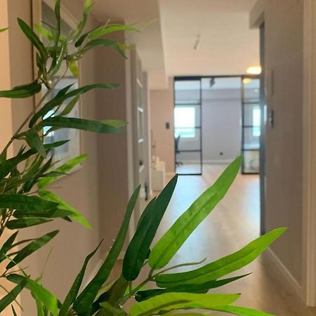 Espectacular Loft Lleno De Luz Y Espacio! サラゴサ エクステリア 写真